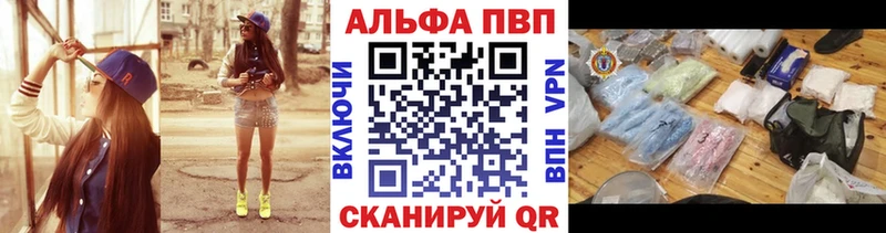 Alfa_PVP СК  Цоци-Юрт 