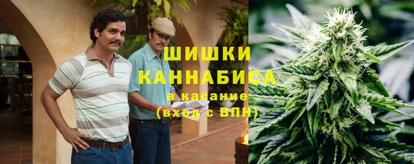 мдпв Горняк
