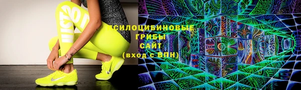 соль ск Горнозаводск