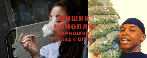 мдпв Горняк