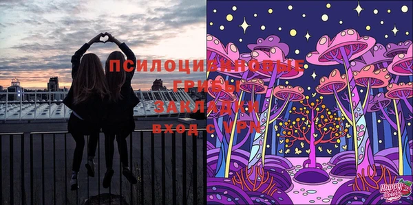 соль ск Горнозаводск