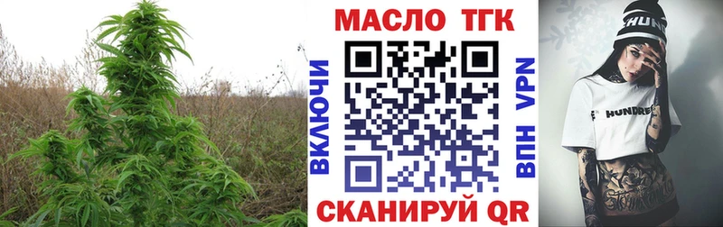 mega   сколько стоит  Цоци-Юрт  ТГК концентрат 